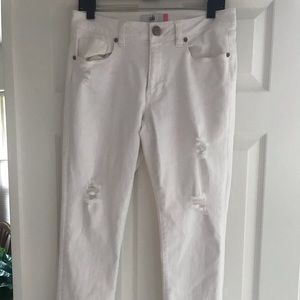 CAbi High Skinny